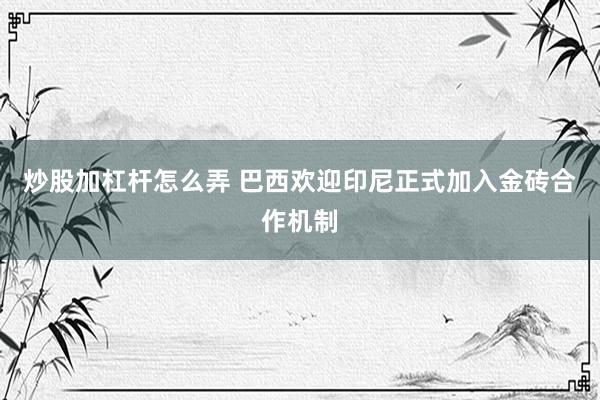 炒股加杠杆怎么弄 巴西欢迎印尼正式加入金砖合作机制