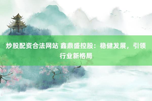炒股配资合法网站 鑫鼎盛控股：稳健发展，引领行业新格局