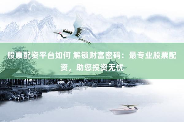 股票配资平台如何 解锁财富密码：最专业股票配资，助您投资无忧