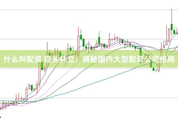 什么叫配资 巨头林立：揭秘国内大型配资公司格局