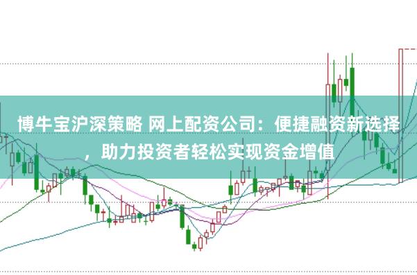 博牛宝沪深策略 网上配资公司：便捷融资新选择，助力投资者轻松实现资金增值