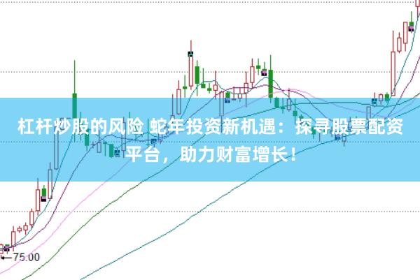 杠杆炒股的风险 蛇年投资新机遇：探寻股票配资平台，助力财富增长！