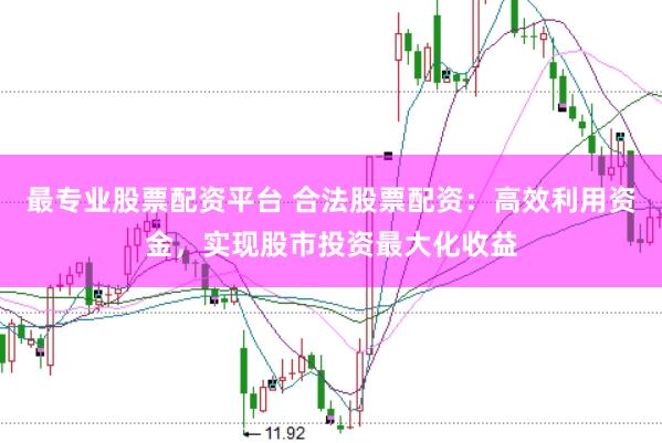 最专业股票配资平台 合法股票配资：高效利用资金，实现股市投资最大化收益