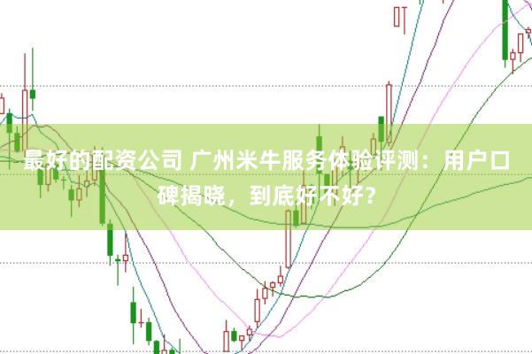 最好的配资公司 广州米牛服务体验评测：用户口碑揭晓，到底好不好？