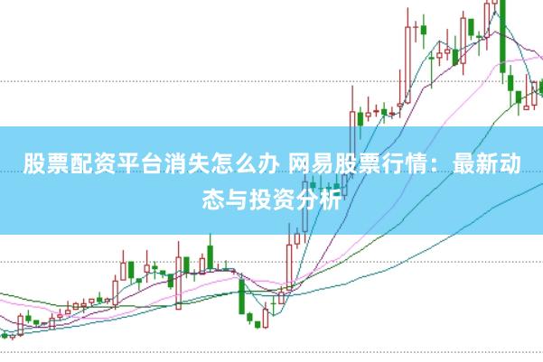 股票配资平台消失怎么办 网易股票行情：最新动态与投资分析