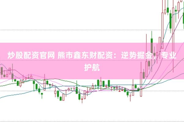 炒股配资官网 熊市鑫东财配资：逆势掘金，专业护航