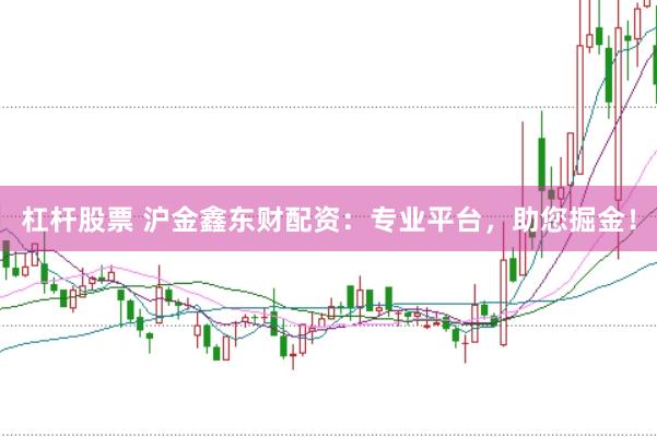 杠杆股票 沪金鑫东财配资：专业平台，助您掘金！