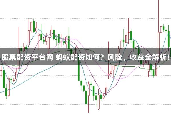 股票配资平台网 蚂蚁配资如何？风险、收益全解析！