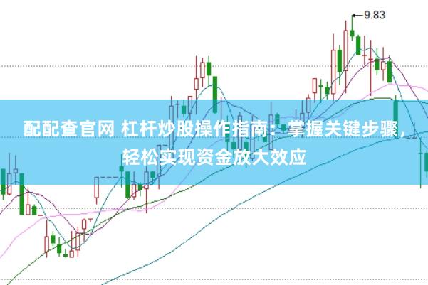配配查官网 杠杆炒股操作指南：掌握关键步骤，轻松实现资金放大效应