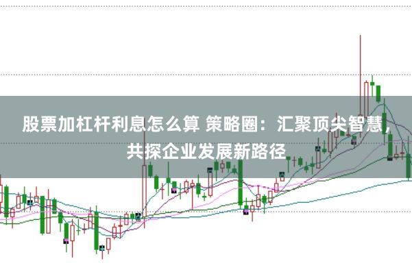 股票加杠杆利息怎么算 策略圈：汇聚顶尖智慧，共探企业发展新路径