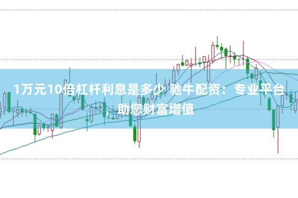 1万元10倍杠杆利息是多少 驰牛配资：专业平台，助您财富增值