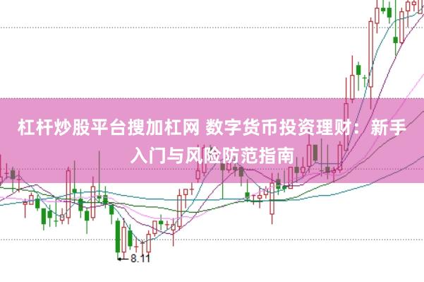 杠杆炒股平台搜加杠网 数字货币投资理财：新手入门与风险防范指南