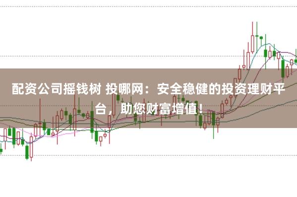 配资公司摇钱树 投哪网：安全稳健的投资理财平台，助您财富增值！