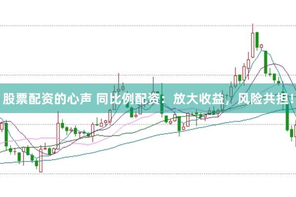 股票配资的心声 同比例配资：放大收益，风险共担！