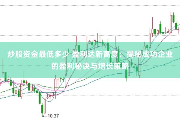 炒股资金最低多少 盈利达新高度：揭秘成功企业的盈利秘诀与增长策略