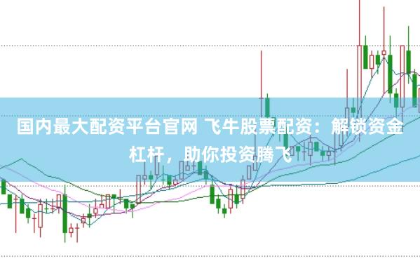 国内最大配资平台官网 飞牛股票配资：解锁资金杠杆，助你投资腾飞