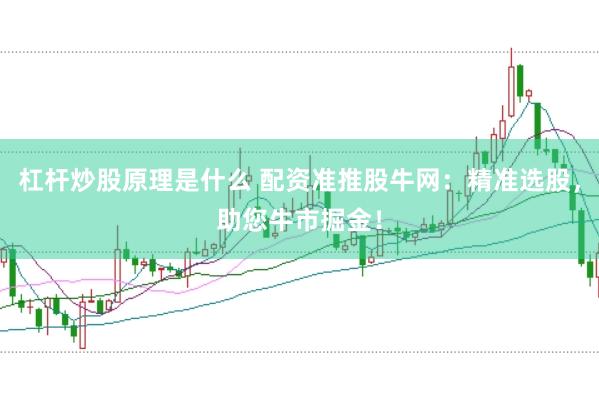 杠杆炒股原理是什么 配资准推股牛网：精准选股，助您牛市掘金！