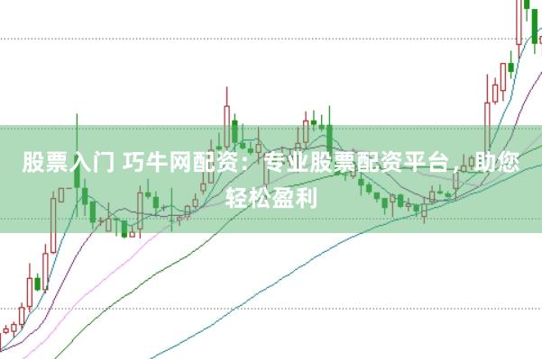 股票入门 巧牛网配资：专业股票配资平台，助您轻松盈利