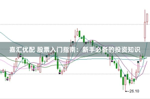 嘉汇优配 股票入门指南：新手必备的投资知识