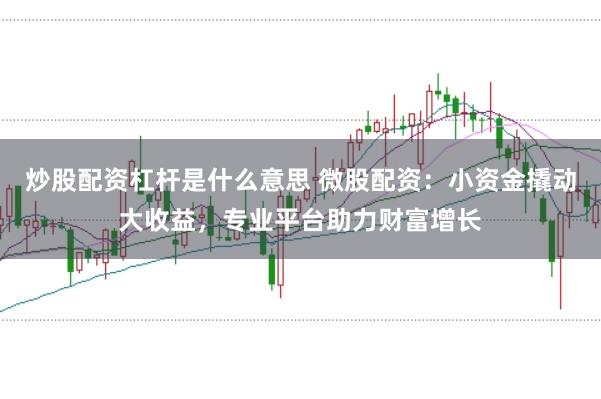 炒股配资杠杆是什么意思 微股配资：小资金撬动大收益，专业平台助力财富增长