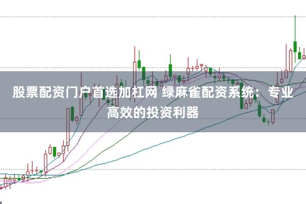 股票配资门户首选加杠网 绿麻雀配资系统：专业高效的投资利器