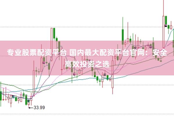 专业股票配资平台 国内最大配资平台官网：安全高效投资之选