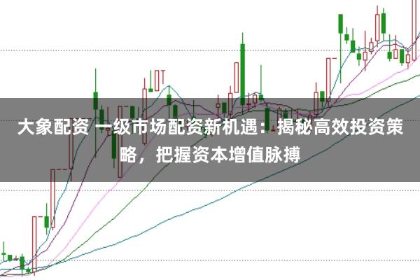 大象配资 一级市场配资新机遇：揭秘高效投资策略，把握资本增值脉搏