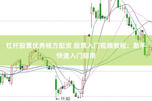 杠杆股票优秀杨方配资 股票入门视频教程：新手快速入门指南