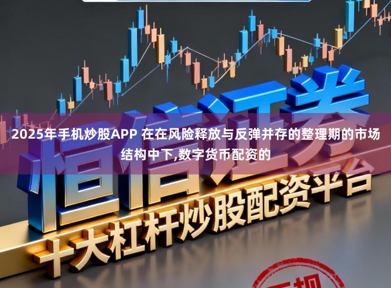 2025年手机炒股APP 在在风险释放与反弹并存的整理期的市场结构中下，数字货币配资的